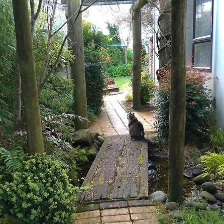 Secret Cottage Waitara Ngoại thất bức ảnh