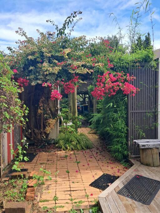 Secret Cottage Waitara Ngoại thất bức ảnh