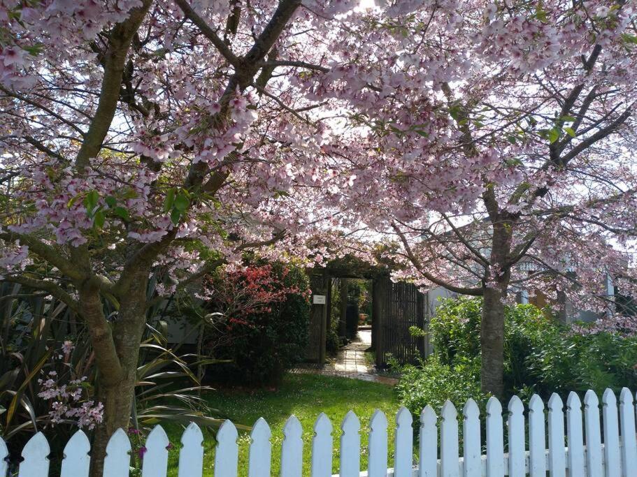 Secret Cottage Waitara Ngoại thất bức ảnh
