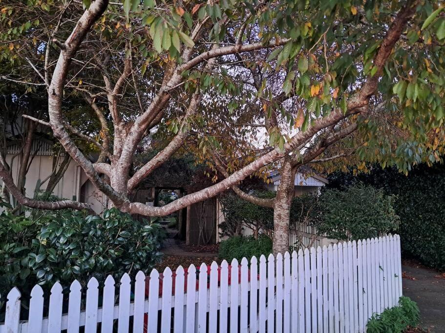 Secret Cottage Waitara Ngoại thất bức ảnh